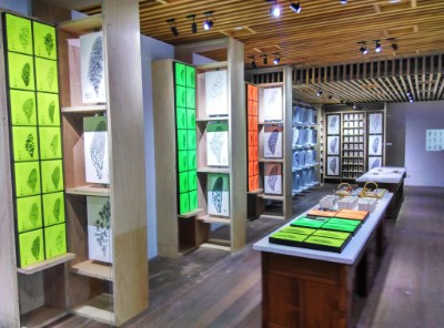 藝術家林磐聳教授作品「我的台灣看見心靈的故鄉」 展出近千幅台灣島嶼圖象